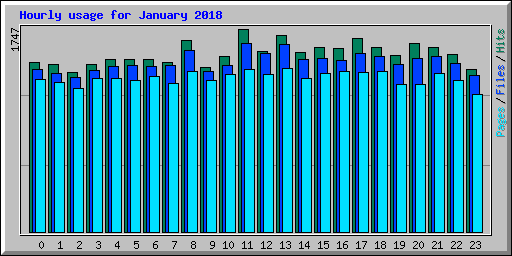 Hourly usage for January 2018
